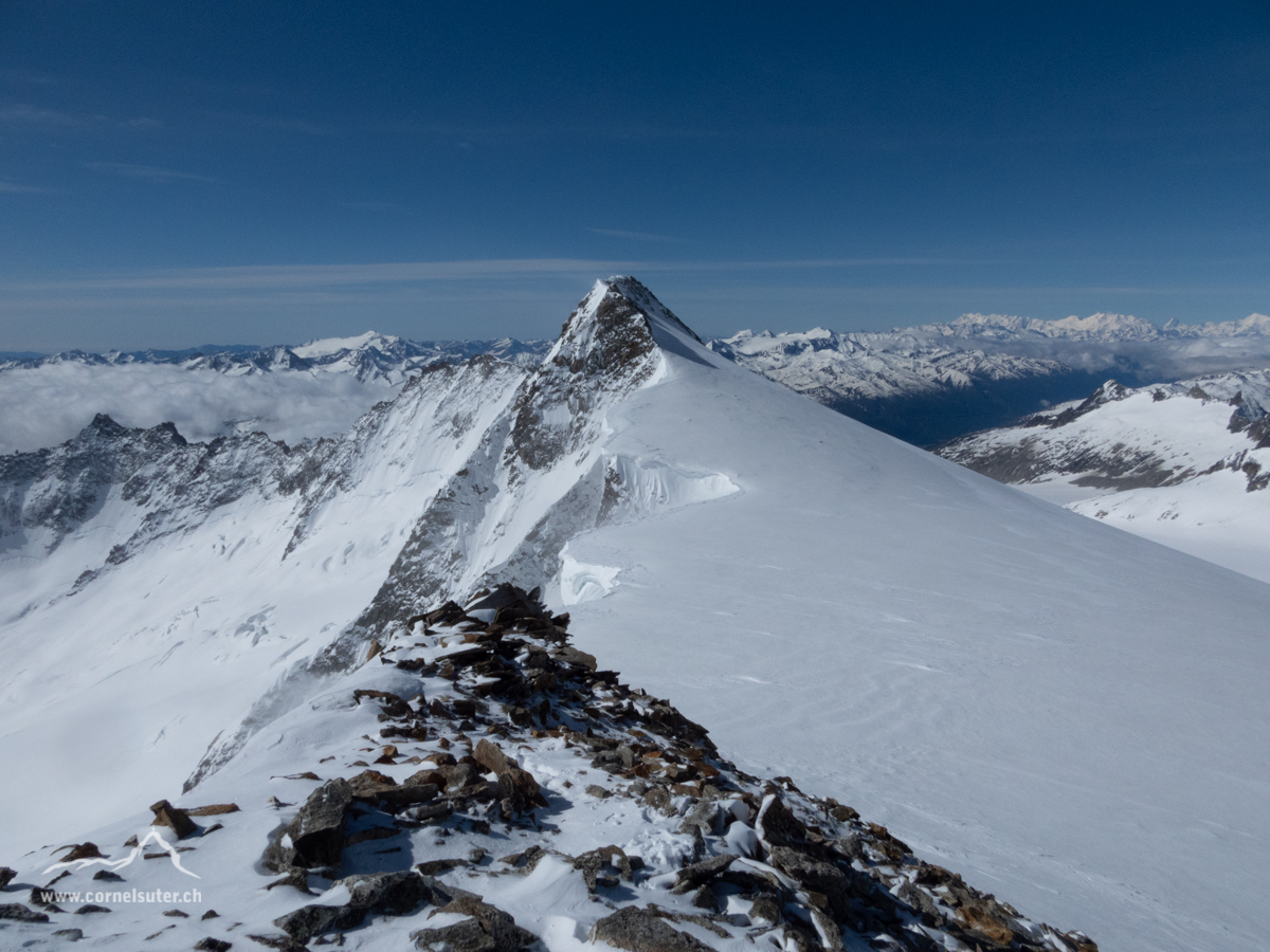 Auf dem Schneestock 3608m sicht zurück zum Dammastock 3631m.