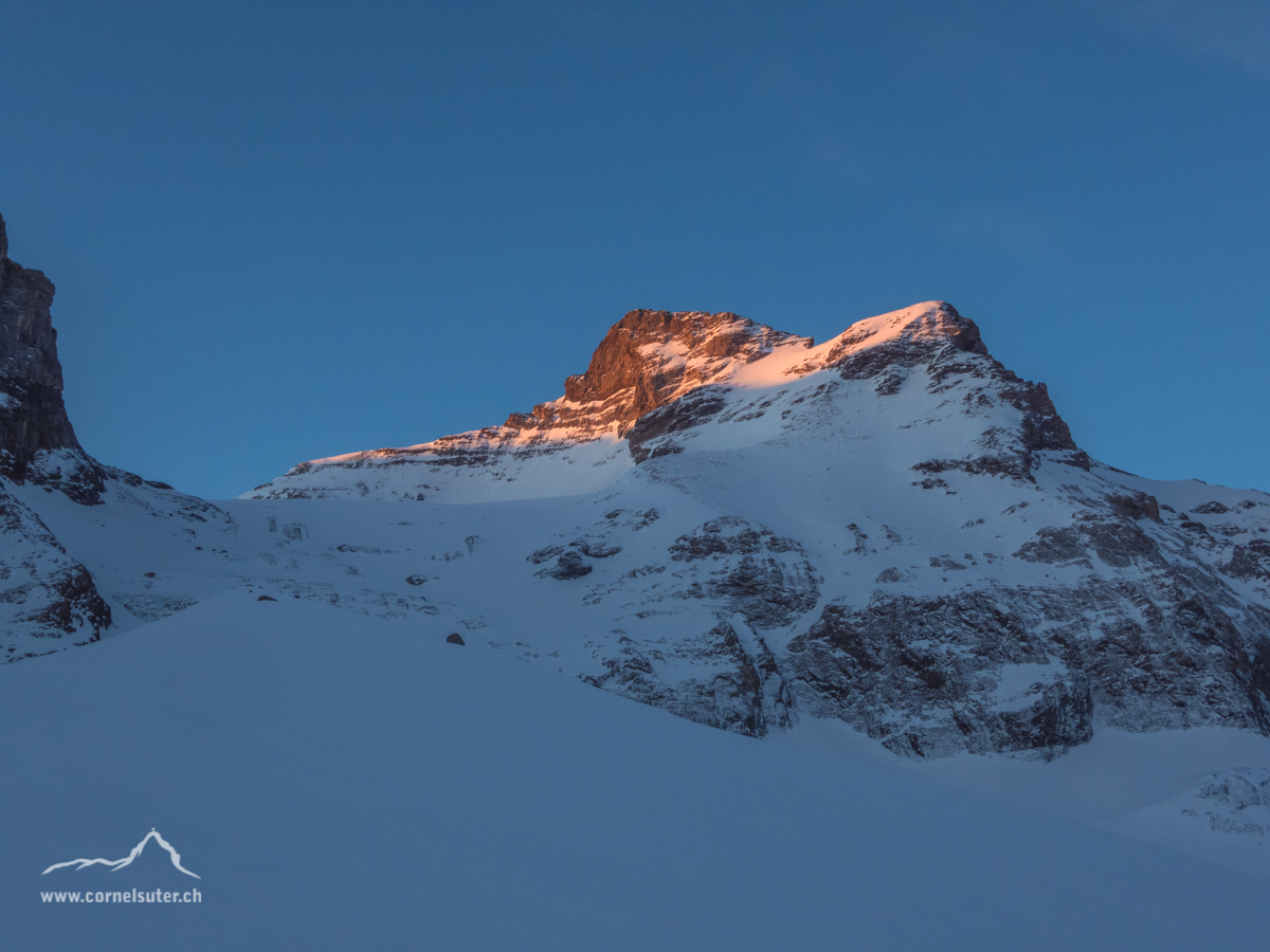 Das Schärhorn in Sicht.