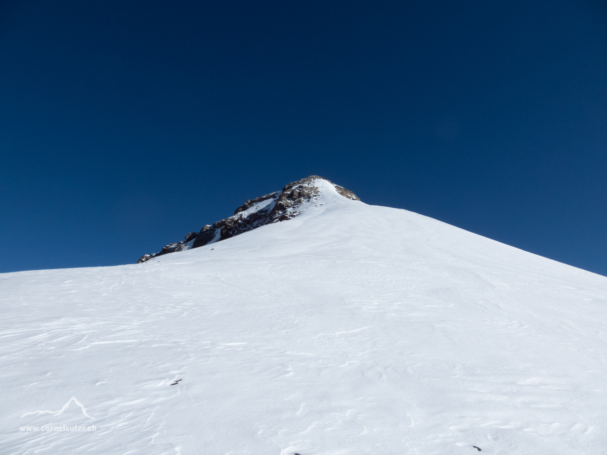 Gipfelgrat zum Schärhorn.