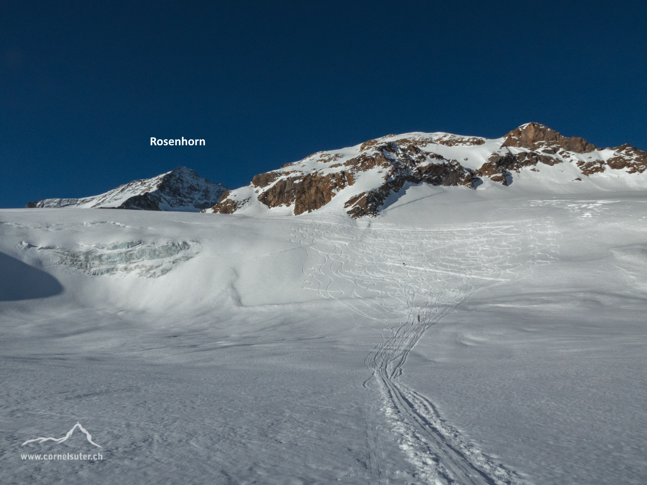 Über langen Gletscher mit wenig Höhe gehts an das Rosenhorn, vor diesem abzweigen zum Wellhornsattel.