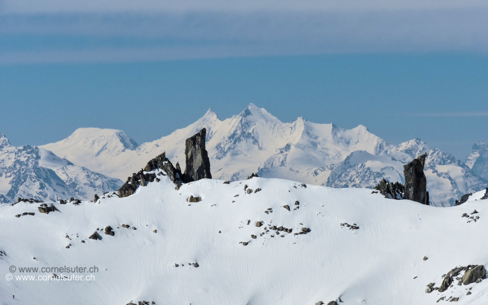 Im Urnerland unterwegs gewesen. Die Kamele ziehen vorbei, im Hintergrund die gesamte Mischabel, rechts noch ein wenig vom Matterhorn zu sehen. (14.05.15) (Klick Bericht lesen)