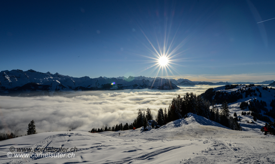 Wieder auf dem Brünnelistock 1594m