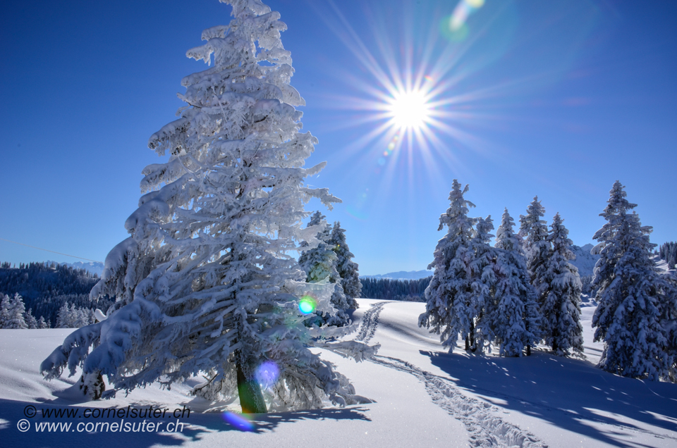 Wintermärchen auf Spilmettlen 1471m.